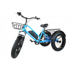 Електровелосипед триколісний Velomotor Сargo 36V 18 Ah 500 Вт