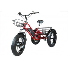Електровелосипед триколісний Velomotor Сargo 48V 13 Ah 500 Вт