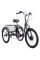 Триколісний електровелосипед ARDIS 24 CTB ST CHARGE 3-Х. (4057Е)
