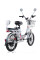 Електровелосипед VIAGGIO 20 CTB ST 500W (з 2 сидіннями)