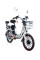 Електровелосипед СROSSRIDE EXPRESS 20 CTB (з 2 сидіннями) (4073Е)
