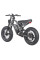 Електровелосипед FAFREES F20 ULTRA