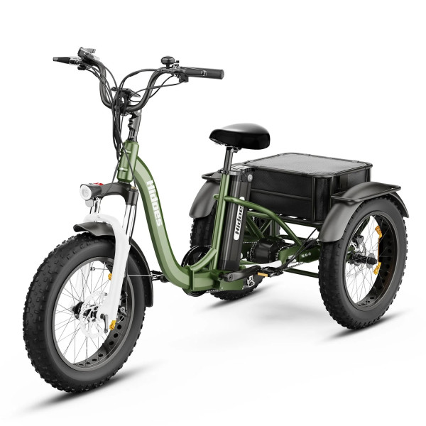 Триколісний електровелосипед Hidoes ET1