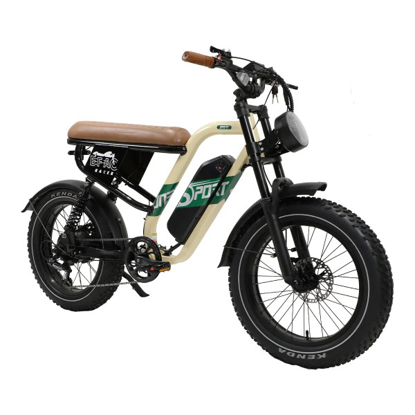 Електровелосипед Onesport W66