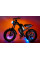 Електровелосипед Riding'times Z8 Pro
