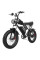Електровелосипед Ridstar Q20