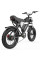 Електровелосипед Ridstar Q20