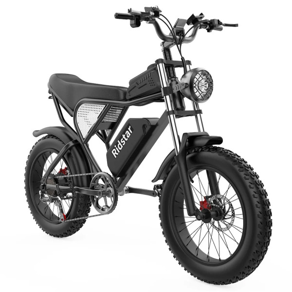 Електровелосипед Ridstar Q20