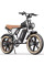 Електровелосипед Ridstar Q20 Luxe