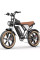 Електровелосипед Ridstar Q20 Luxe