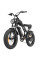 Електровелосипед Ridstar Q20 MINI