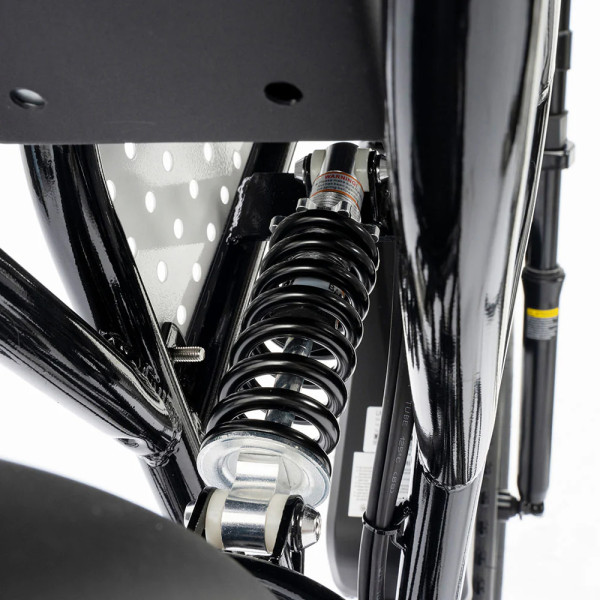 Електровелосипед Ridstar Q20 MINI