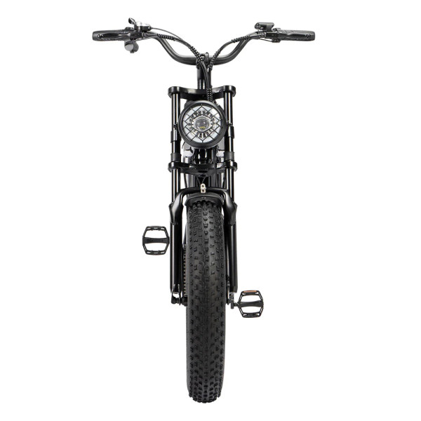 Електровелосипед Ridstar Q20 MINI