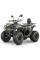 Електроквадроцикл FORTE FFP1500