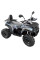 Електроквадроцикл FORTE FFP1500