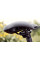 Сідло Selle Royal Explora jr S (16