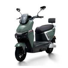 Електроскутер Tairon «SJ» 745590, двигун 2000W, акумулятор 72V 30Ah літій-залізо-фосфатний, зелений, колеса 10"