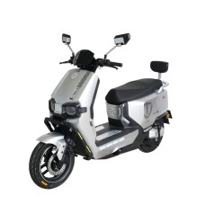 Електроскутер Tailg «F-55» GR-808, двигун 2000W, акумулятор 72V 38Ah графеновий, срібний, колеса 12"