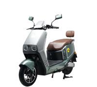 Електроскутер Garow «L750» GR-6712, двигун 2999W, акумулятор 72V 48Ah літій-залізо-фосфатний, зелено-сірий, колеса 12"