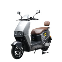 Електроскутер Garow «L750» GR-8872, двигун 2999W, акумулятор 72V 48Ah літій-залізо-фосфатний, сірий, колеса 12"