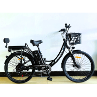 Електровелосипед 26 ST Corso «ROCCO» R-48051 сталь, двигун 750W, акумулятор 48V 20Ah літієвий, темно-зелений